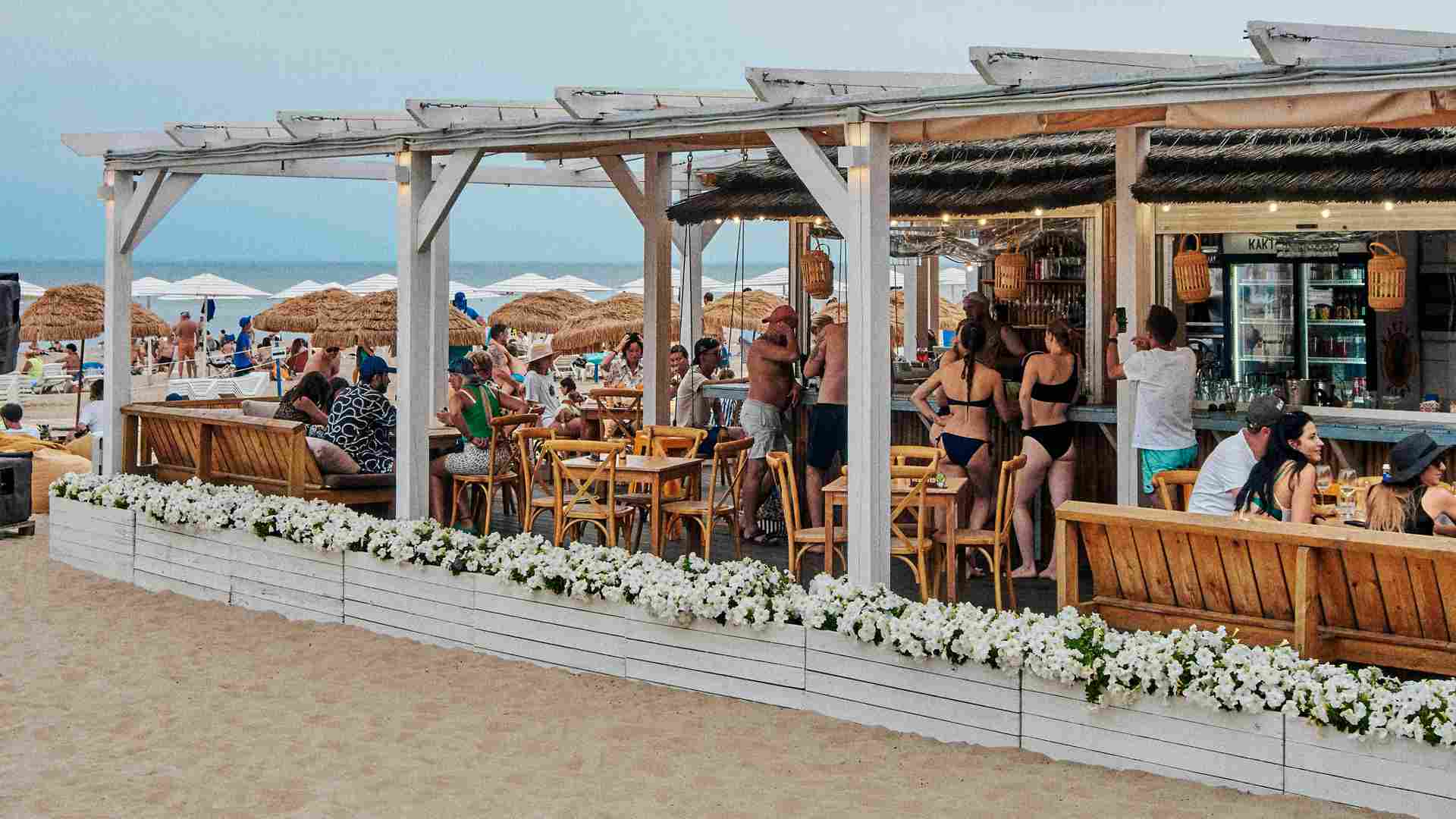 Evening Entertainment